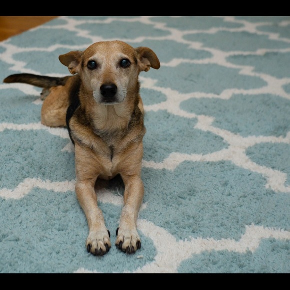 Meet your Posher, Anne - Picture 2 of 7